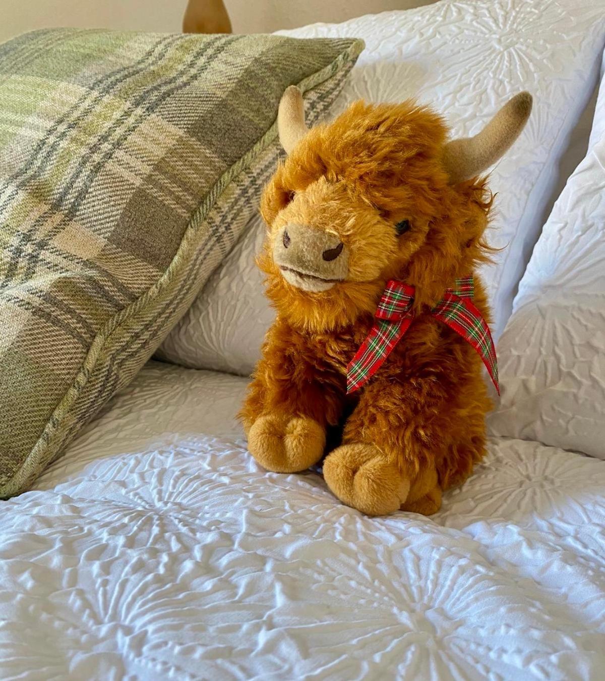 Bruachdryne Braemar Accommodation Bagian luar foto